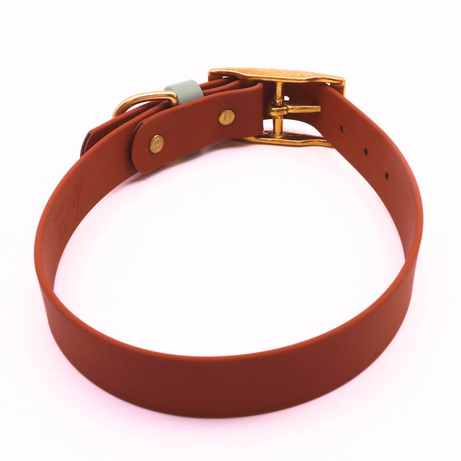 Pre Made Brass Collar - 1" Width - Large (Fits 15-20") - Caramel with Sage Keeper Strap