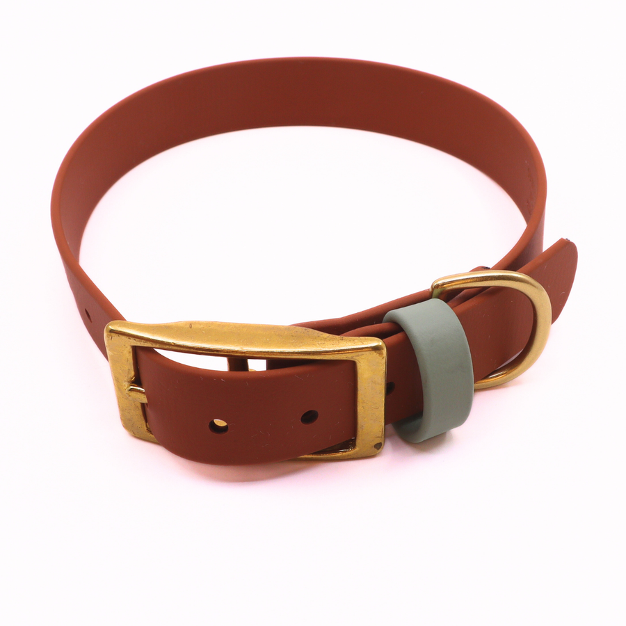 Pre Made Brass Collar - 1" Width - Large (Fits 15-20") - Caramel with Sage Keeper Strap