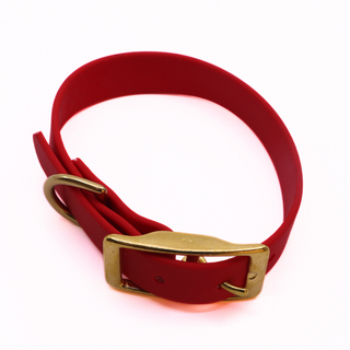 Pre Made Classic Brass Collar - 3/4" Width - Small (Fits 9-12") - Red