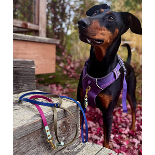 Fall Multiway Hands Free Leash