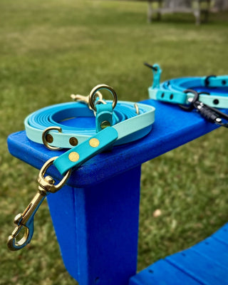 2026 Water Dog Limited Edition Hands Free + Convertible Leash