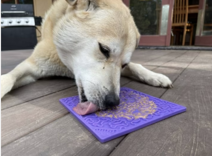 white dog laying on deck, licking the dog enrichment lick mat with purple bones design