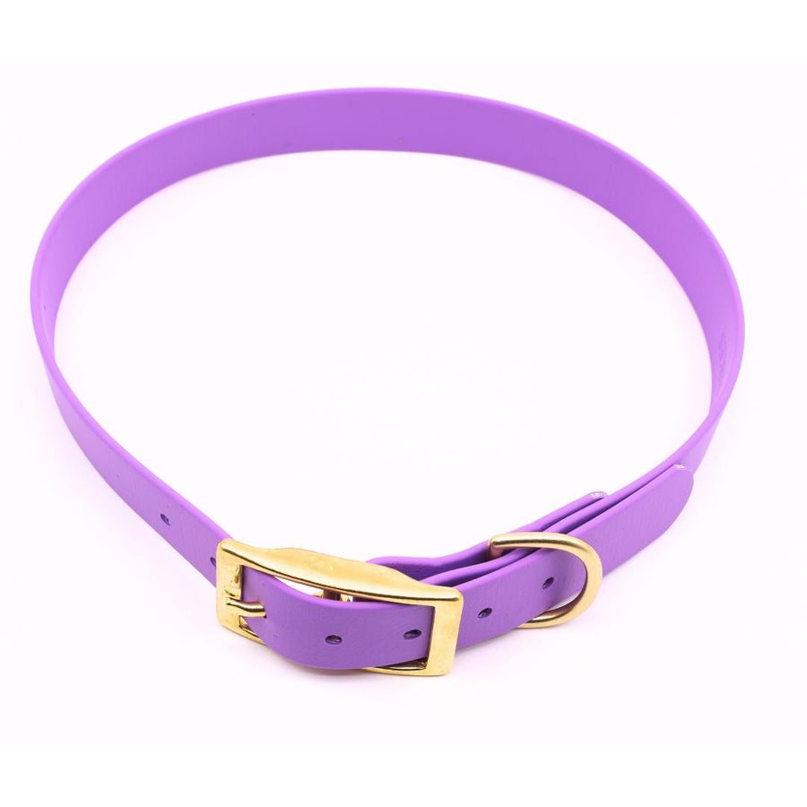 Pre Made Brass Collar - Extra Large (Fits 20" - 25") - Lavender