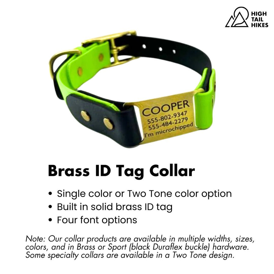 Brass ID Tag Collar in green apple and black BioThane on a white background with product key features outlined