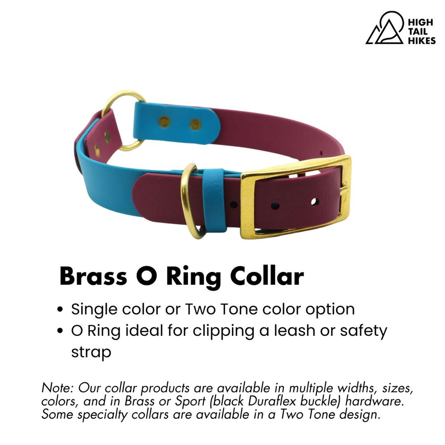 Brass O Ring Collar with teal and plum BioThane on a white background, featuring key product features