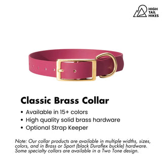 Plum dog collar with brass buckle on a white background with key product features outlined