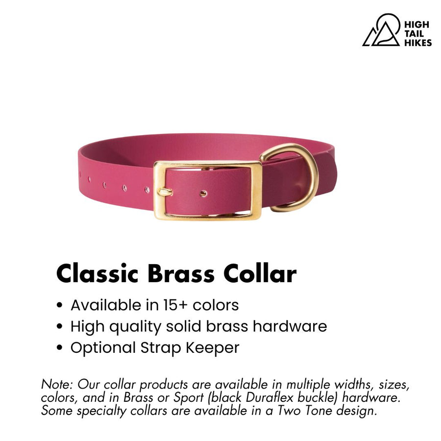Plum dog collar with brass buckle on a white background with key product features outlined