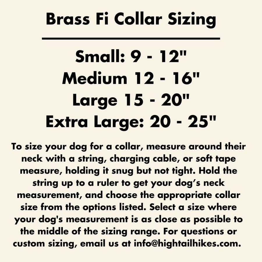 Fi Series 3 BioThane Collar - Brass Integrated Design