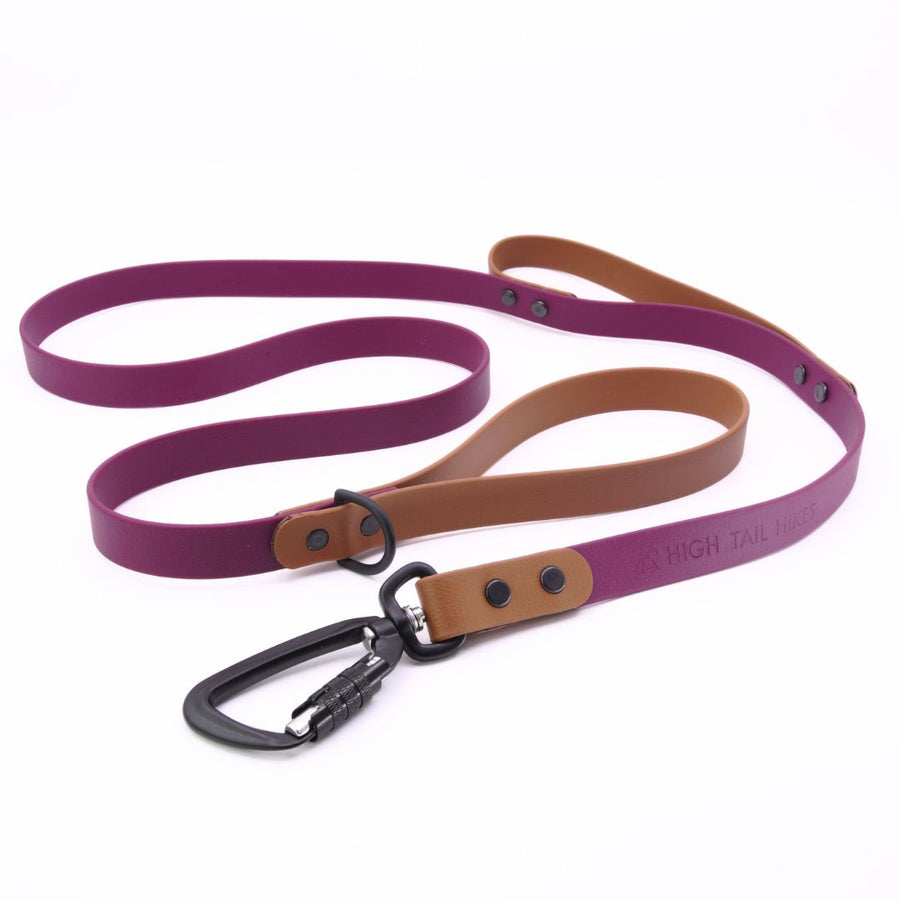 Custom Sport Leashes + Long Lines - Large Dogs (3/4" Width)