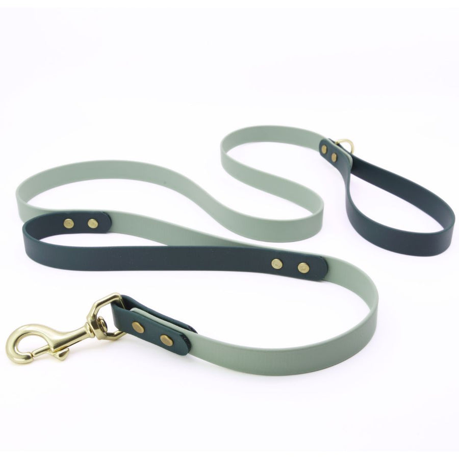 Custom Brass Leashes + Long Lines Large Dogs (3/4" Width)