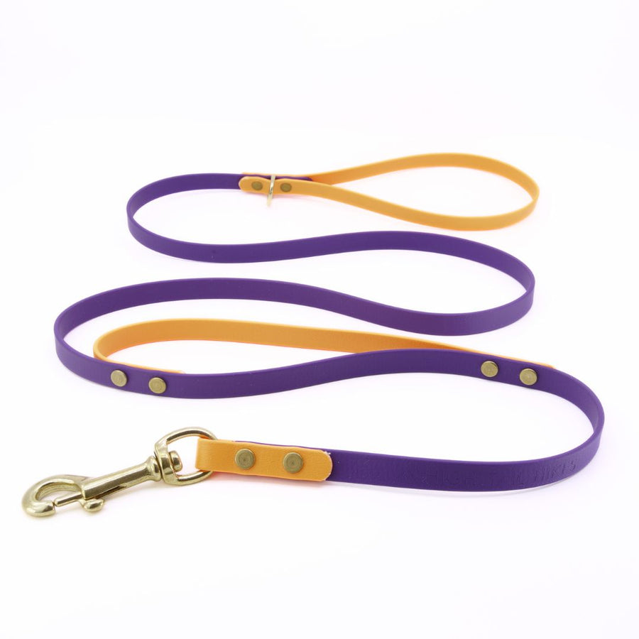 Custom Brass Leashes + Long Lines - Medium Dogs (1/2" Width)