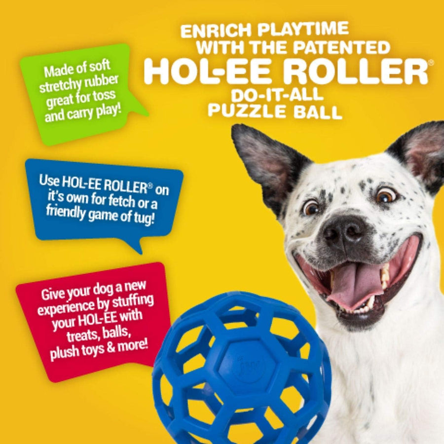 yellow background, white dog, blue hol ee roller, with enrichment playtime suggestions