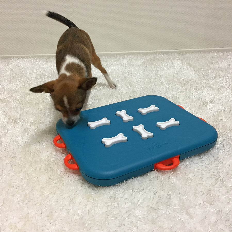Small brown and white dog playing with Nina Ottosson Dog Casino Toy with sliding compartments for treats in orange, teal and white