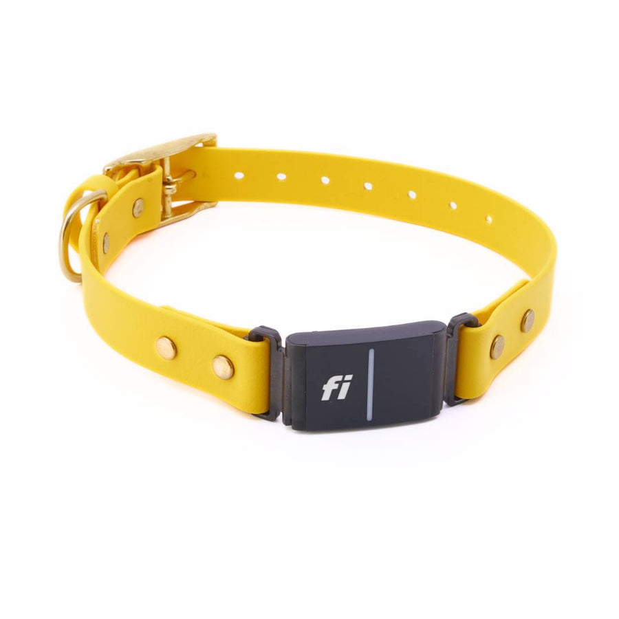 Fi Series 3 BioThane Collar - Brass Integrated Design