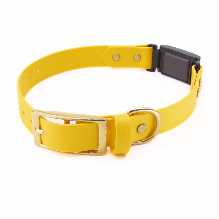 Fi Series 3 BioThane Collar - Brass Integrated Design