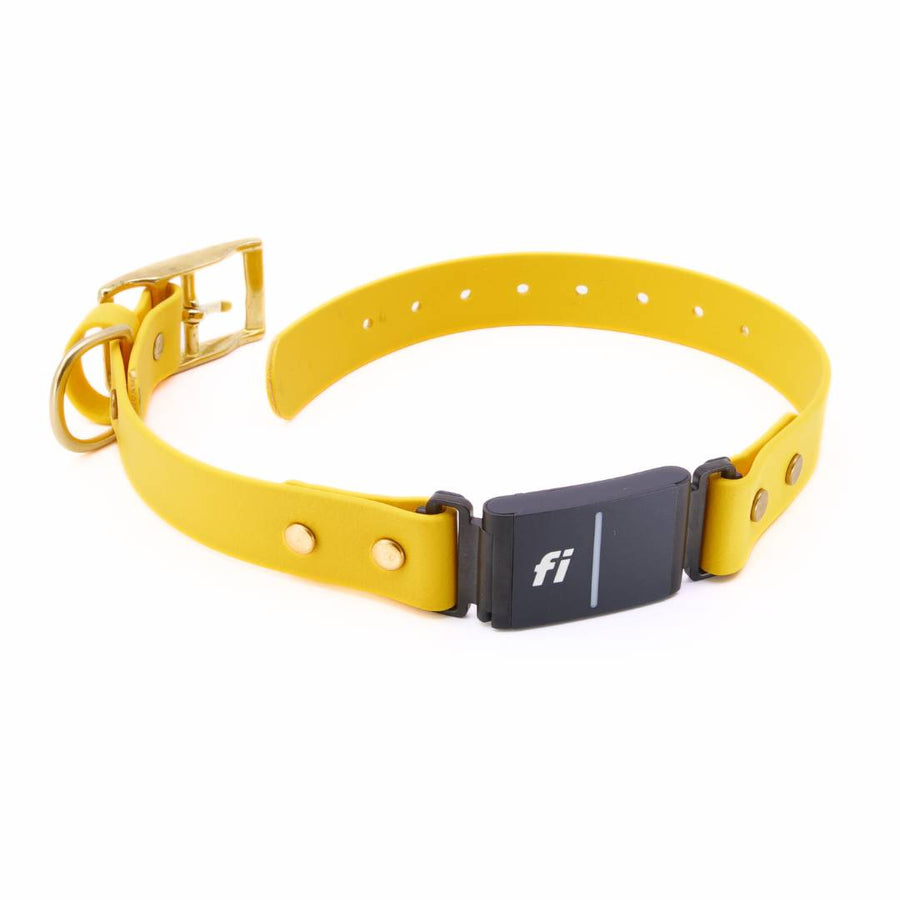 Fi Series 3 BioThane Collar - Brass Integrated Design