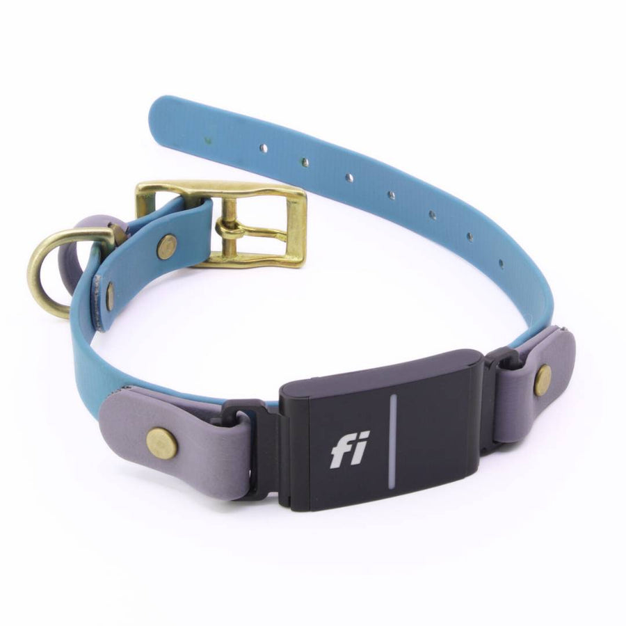 Fi Series 3 BioThane Collar - Brass Layered Design