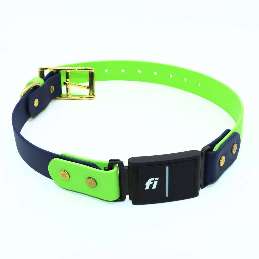 Fi Series 3 BioThane Collar - Brass Integrated Design