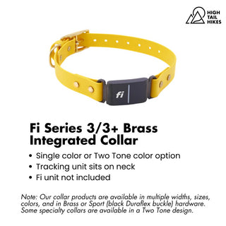 Goldenrod yellow dog collar with Fi tracking unit on a white background with key features outlined
