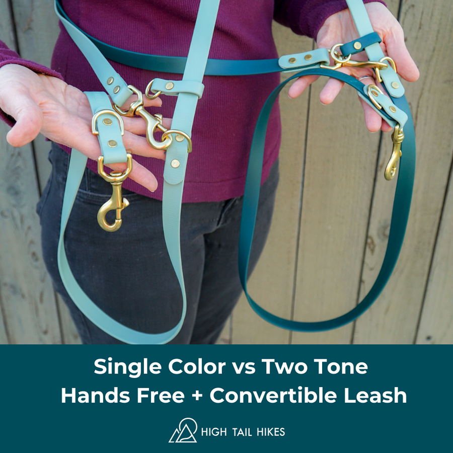 Hands Free + Convertible Brass Leash - Large Dogs (3/4" Width)
