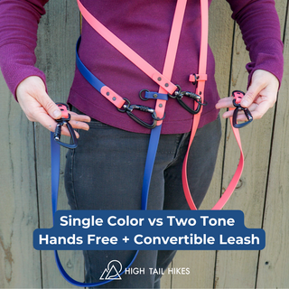 Multiway Sport Hands Free Leash - Medium Dogs (1/2" Width)