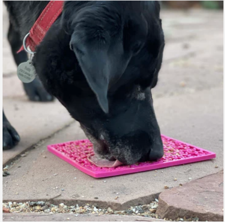 black dog licking the pink puzzle pieces jigsaw design email dog enrichment licking mat