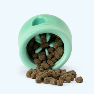 West Paw TOPPL Puzzle & Treat Toy for Dogs - Mint LIMITED EDITION