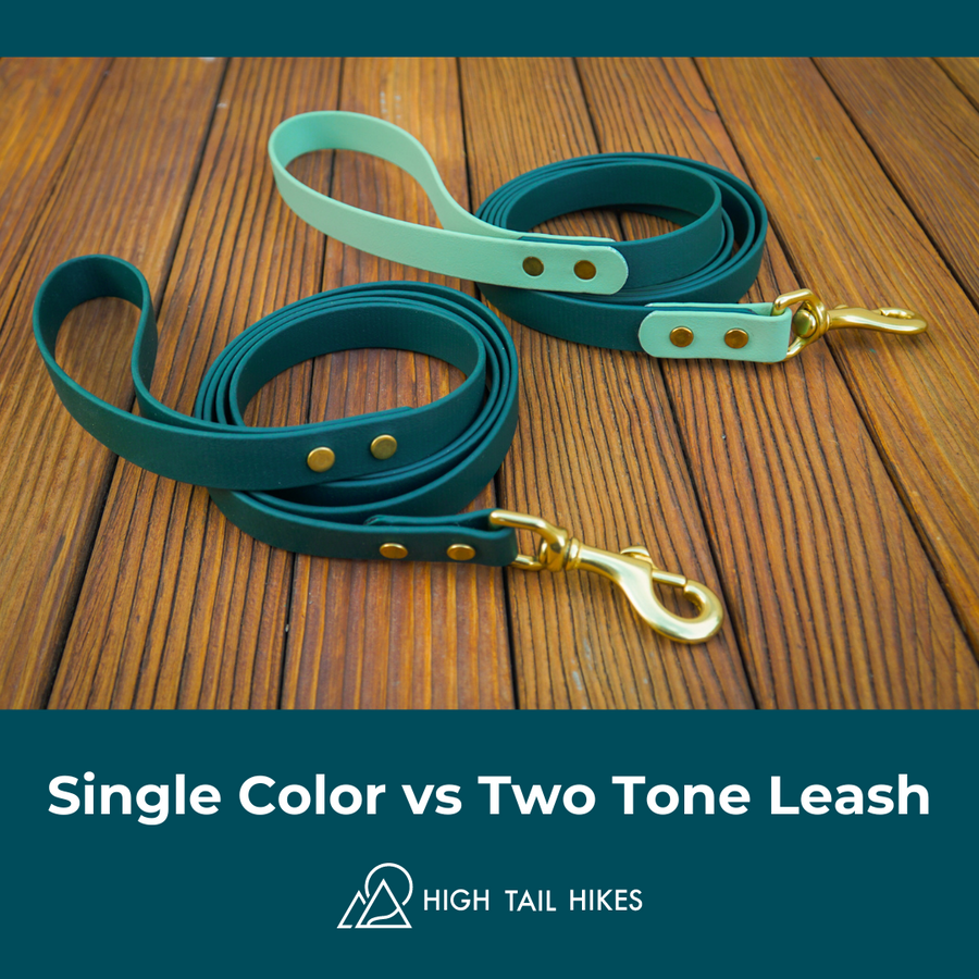Two Tone Custom Biothane Dog Leash -  Canada