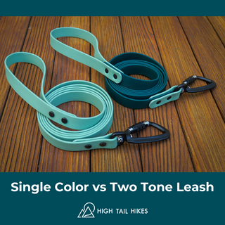 Custom Sport Leashes + Long Lines - Medium Dogs (1/2" Width)