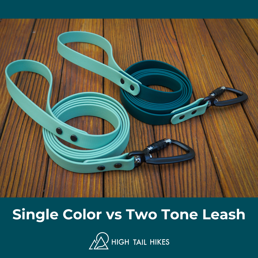Biothane Leashes + Long Lines - Small Dogs (3/8 Width) – High