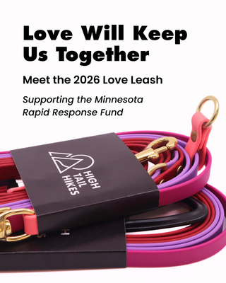 2026 Limited Edition Multiway Hands Free Love Leash