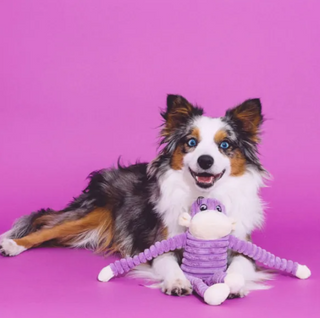 fluffy brindle dog playing with purple crinkle monkey dog toy