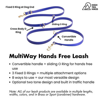 Blue dog leash with features labeled on a white background