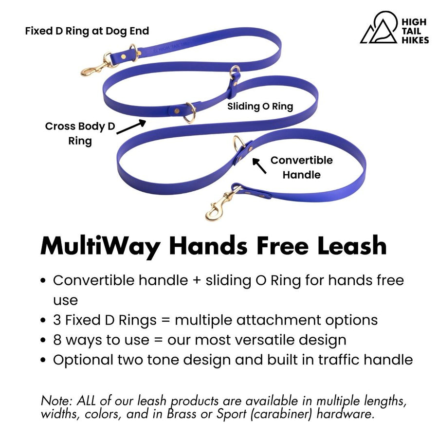 Blue dog leash with features labeled on a white background