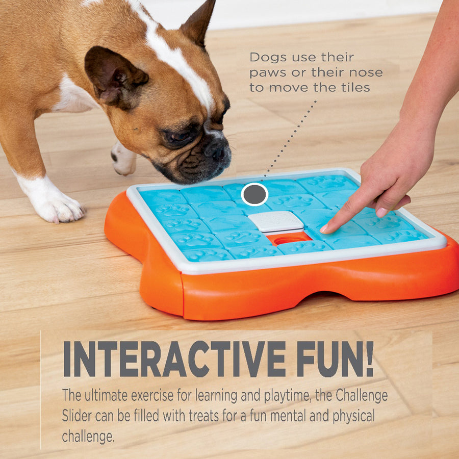Nina Ottoson Challenge Slider Dog Puzzle Toy
