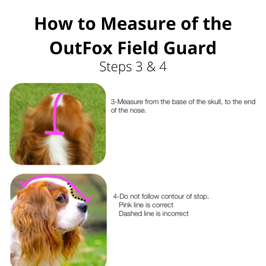How to measure the outfield field guard steps 3 & 4