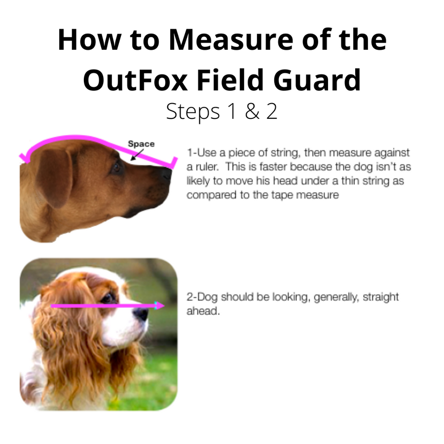 How to measure the outfield field guard steps 1 & 2