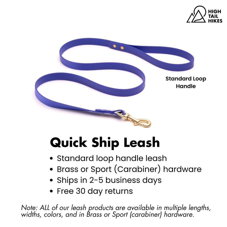 Blueberry BioThane dog leash with brass clip on a white background with key features outlined