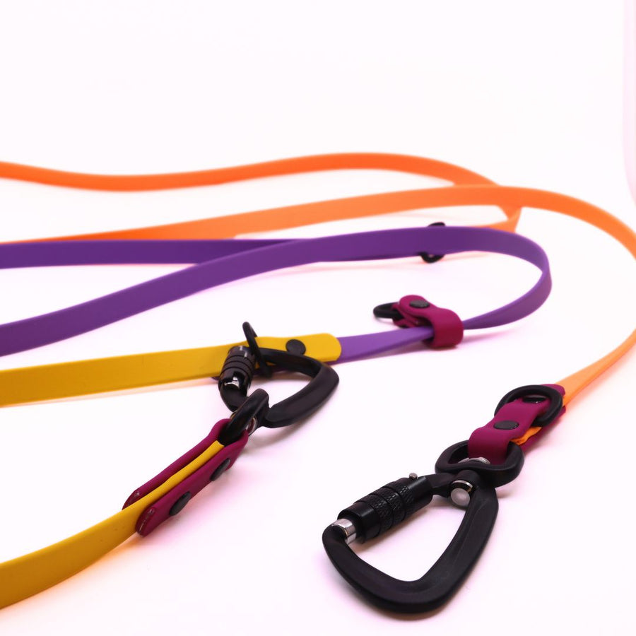 Spring Hands Free + Convertible Leash