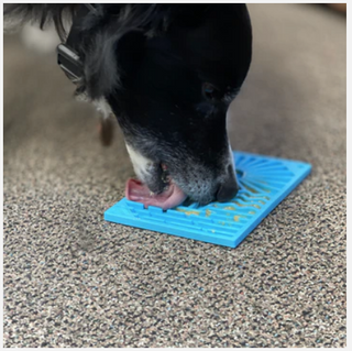 black and white dog licking the blue surf's up design on the emat dog entrichment lick mat