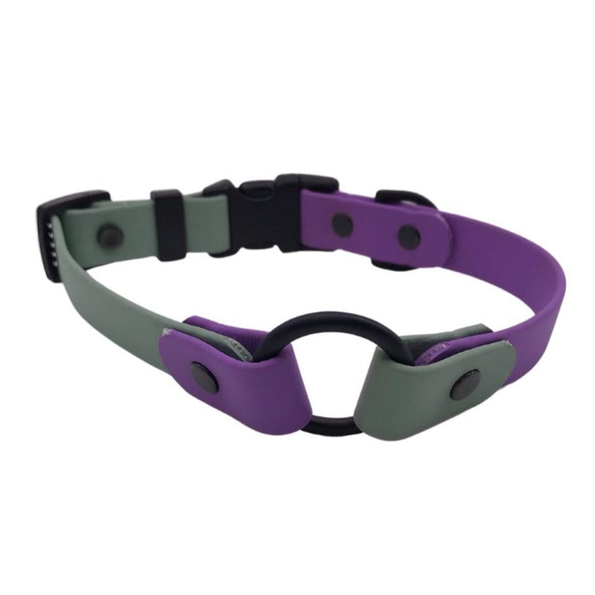 Pre Made Sport O Ring Collar - 3/4" Width - Medium (Fits 15" - 17") - Lavender with Sage Accents