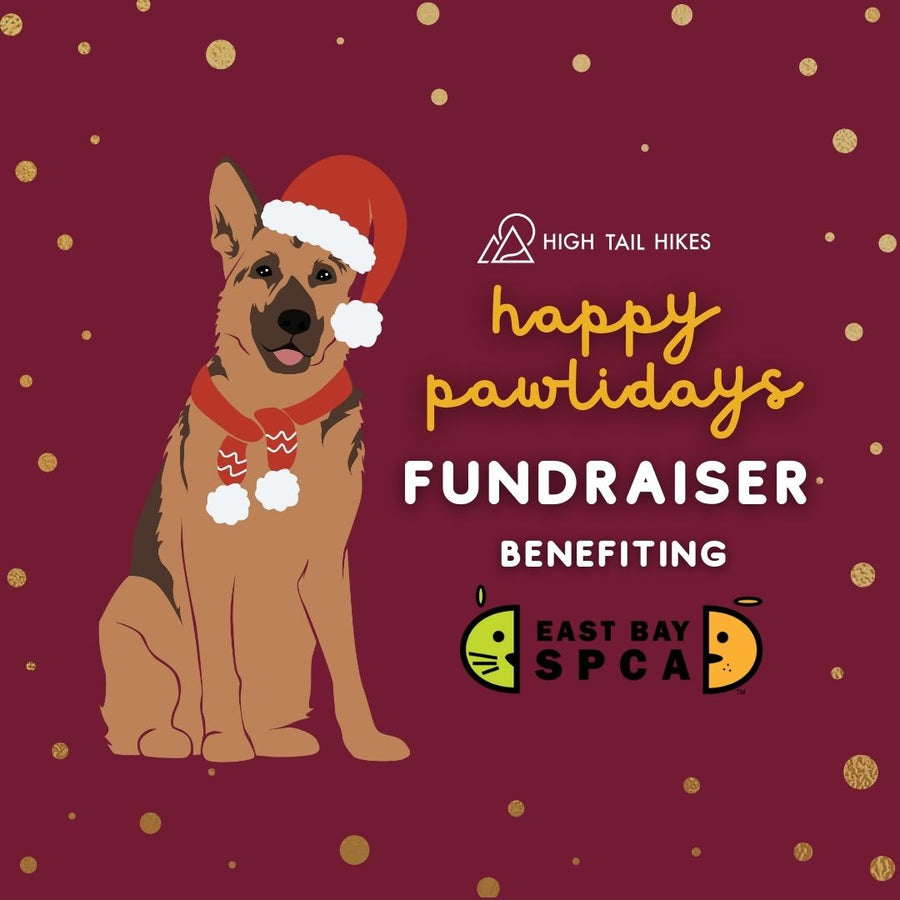 Donate to Our Holiday Fundraiser to the East Bay SPCA!