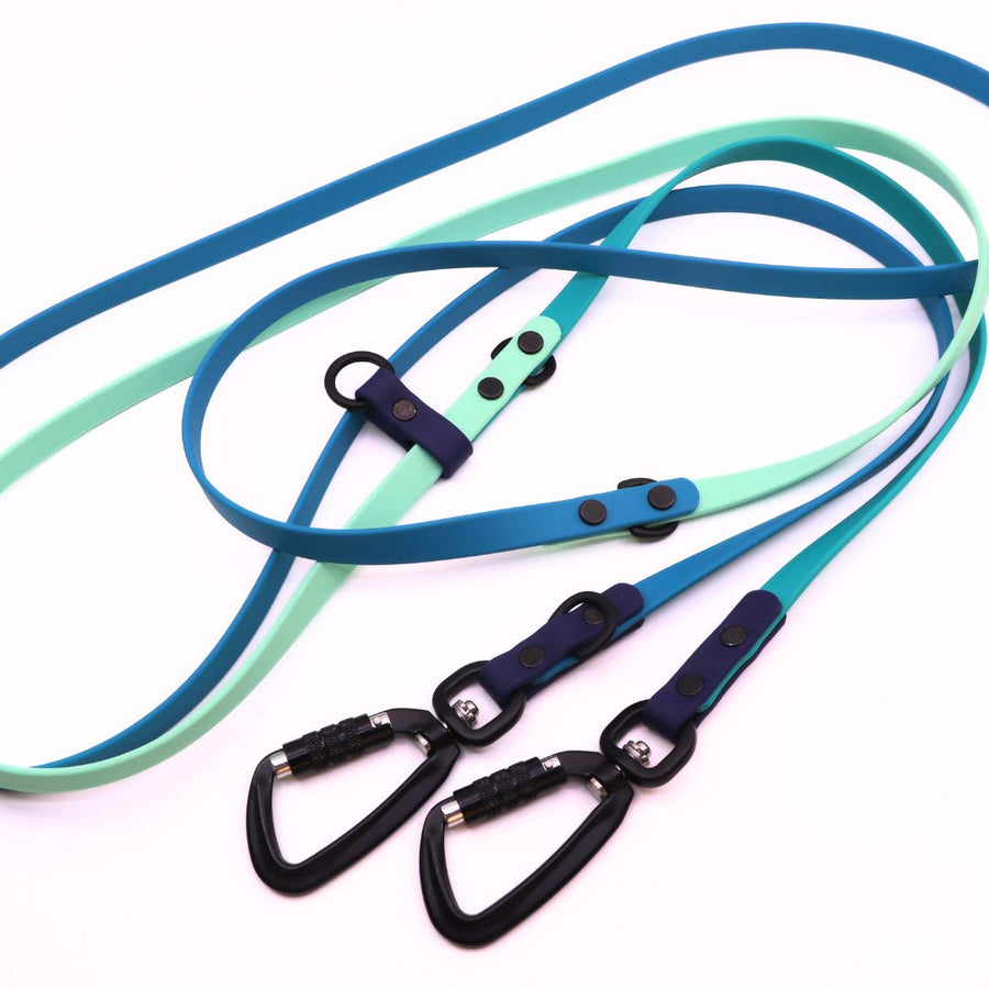 Water Dog Limited Edition Hands Free + Convertible Leash