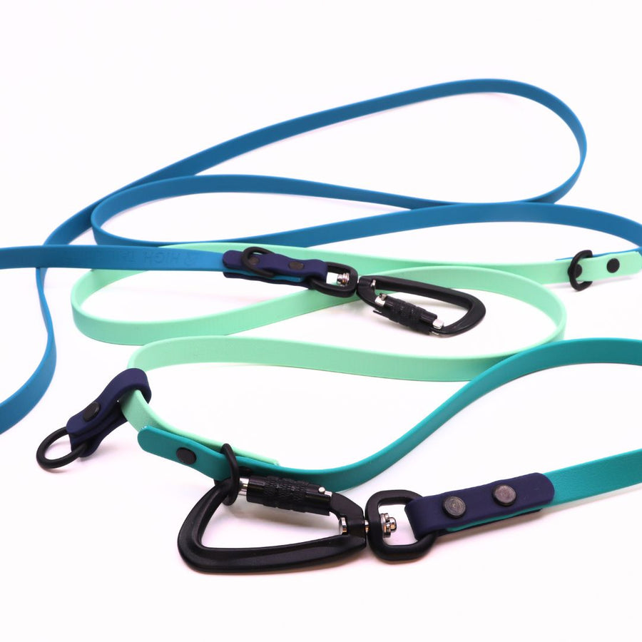 Water Dog Limited Edition Hands Free + Convertible Leash