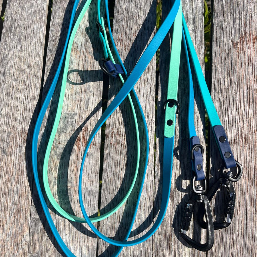 Water Dog Limited Edition Hands Free + Convertible Leash