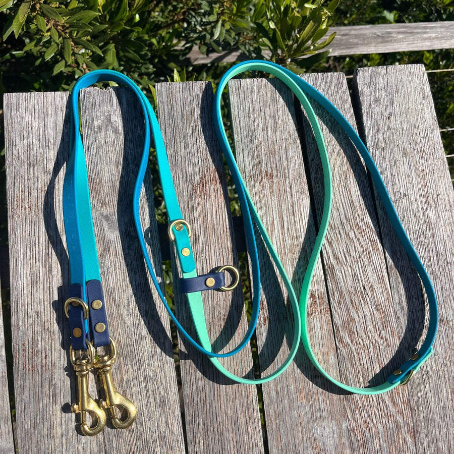 Water Dog Limited Edition Hands Free + Convertible Leash