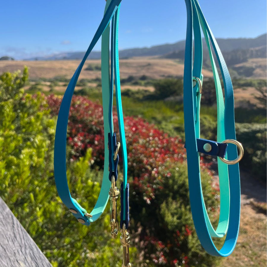 Water Dog Limited Edition Hands Free + Convertible Leash