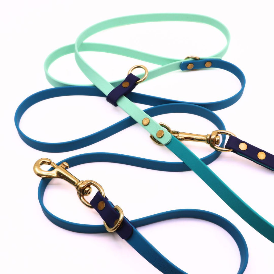 Water Dog Limited Edition Hands Free + Convertible Leash