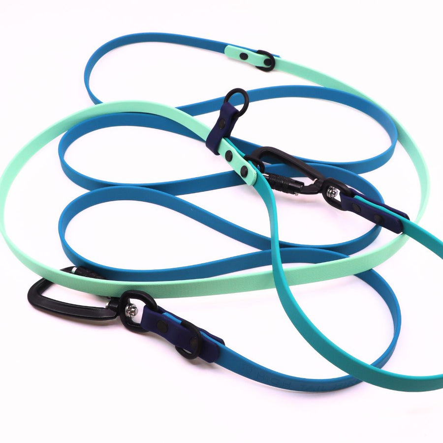 Water Dog Limited Edition Hands Free + Convertible Leash