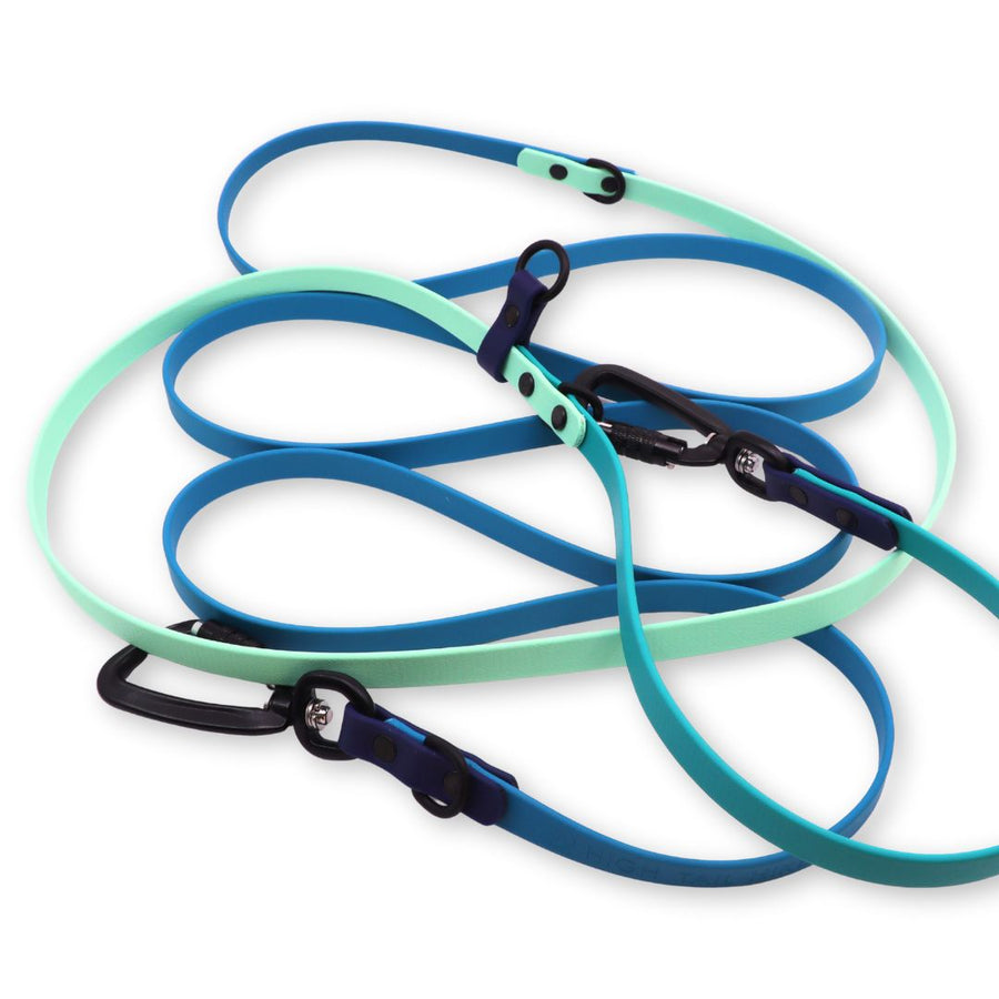 Water Dog Limited Edition Hands Free + Convertible Leash